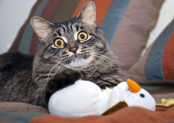 NBA球队球员使用效率与战术结构关系研究,篮球球员效率值