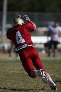 开云体育在线-NBA球队球员合同谈判分析，nba球队球员合同谈判分析图