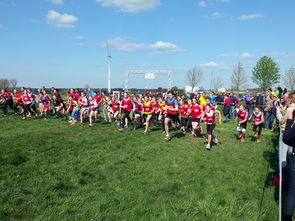 开云体育官网-青少年体育社交平台互动行为研究，青少年体育文化