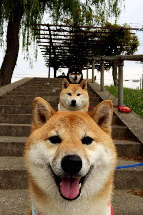 中国三人篮球男队战术多变应对强敌,中国三人篮球男篮赛程