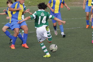 开云体育官网下载-体育新闻中心发布体育内容原创度评估智能工具，原创体育sports