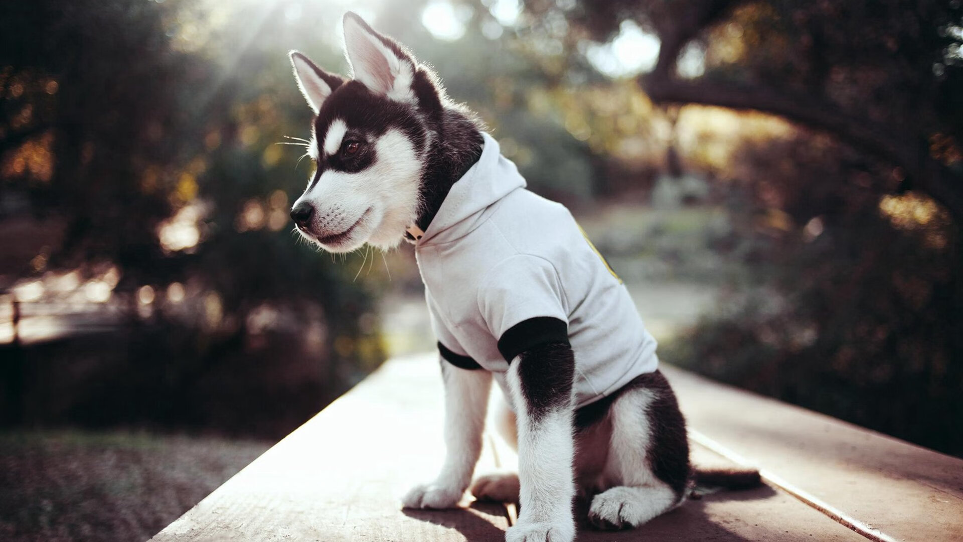 都灵通过精准配合打破对方密集防守