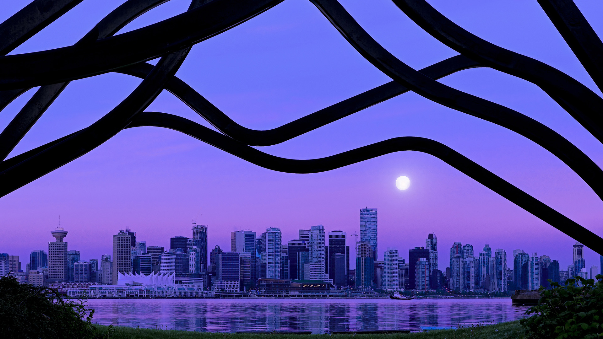 NBA球星回归国家队，国际赛观赏性提升，nba球星回家视频