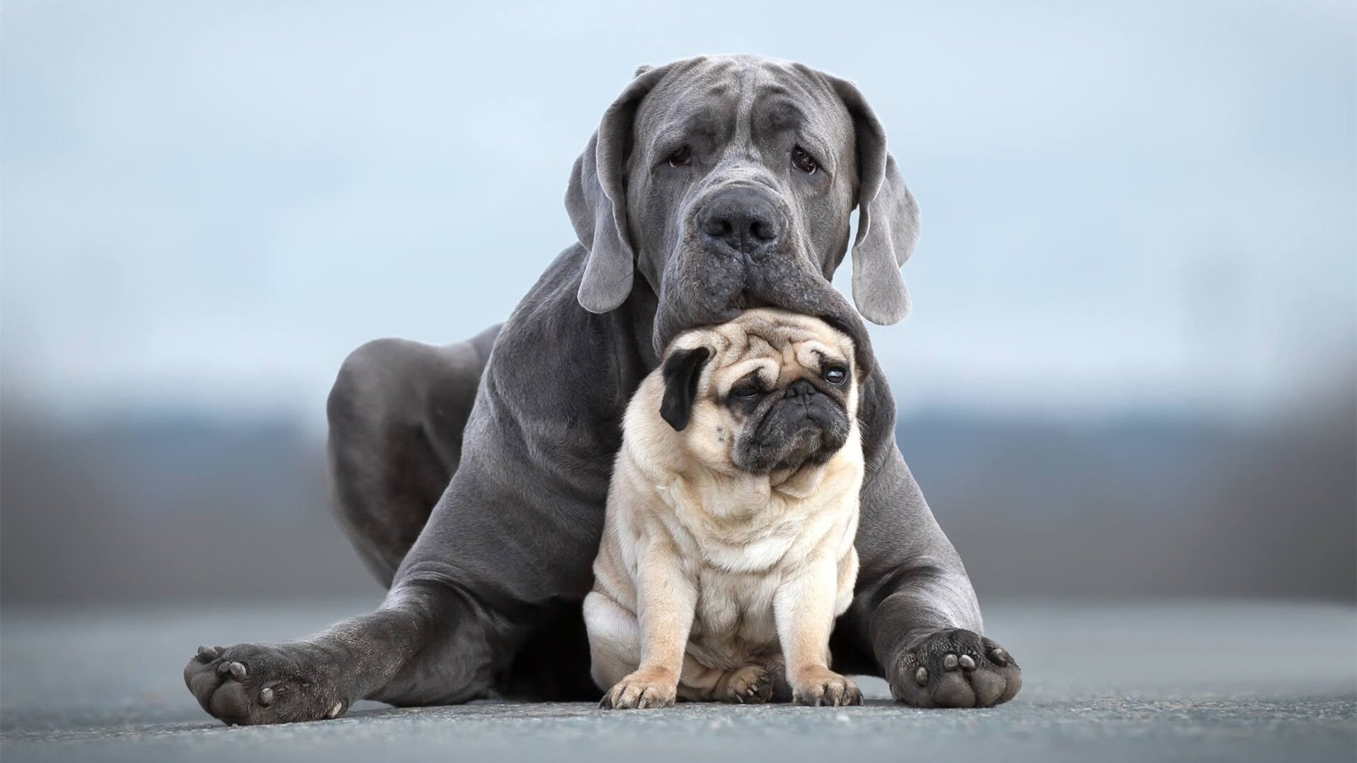开云体育app入口-体育新闻中心比赛氛围还原，体育赛事新闻稿标题