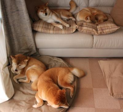 智能穿戴设备助力青少年运动健康,推动体育科技创新,智能穿戴设备方案