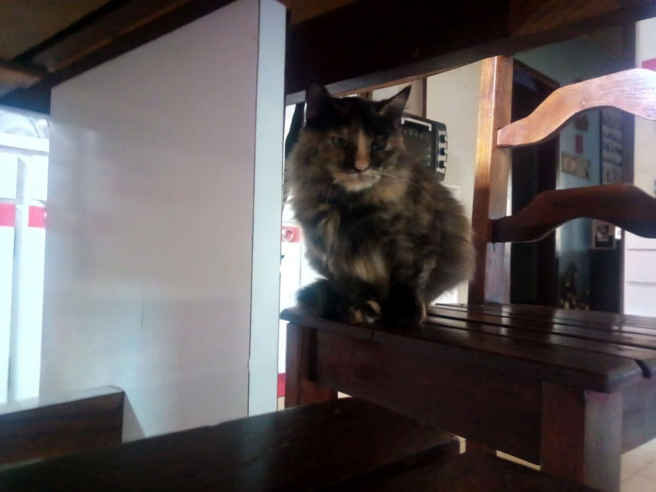 开云体育链接-篮球文化节融合艺术元素打造沉浸式体验场景，篮球文化节活动方案