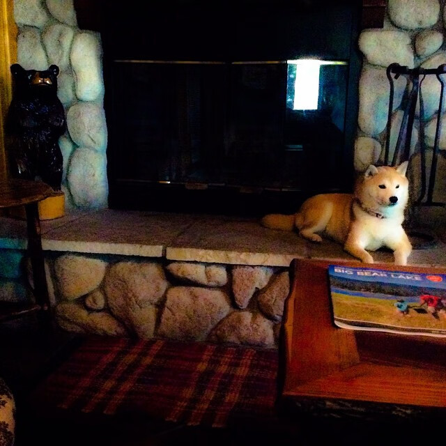 青训基地新增专项训练课程从基础动作培养职业化技术意识,青训学校主要学什么