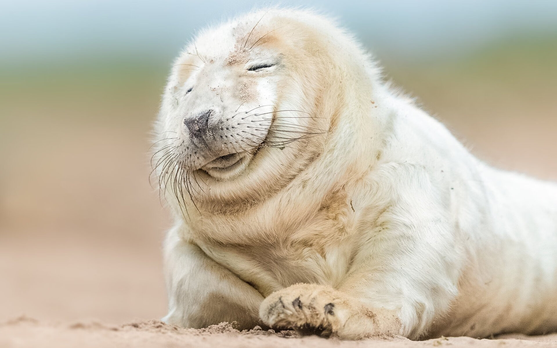 开云体育在线登入-CBA每年上缴1亿元助力篮协补贴女篮与青少年篮球发展