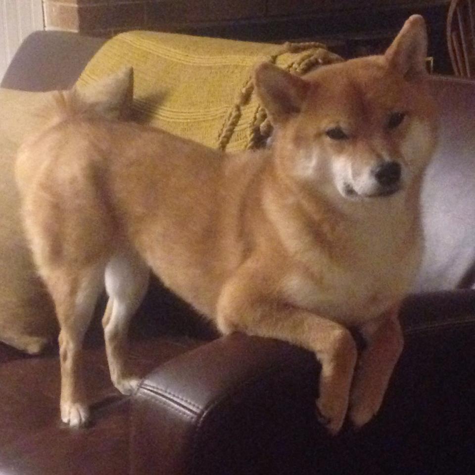 中国足球联赛球场空调系统对赛事影响评估,中国足球场有空调吗