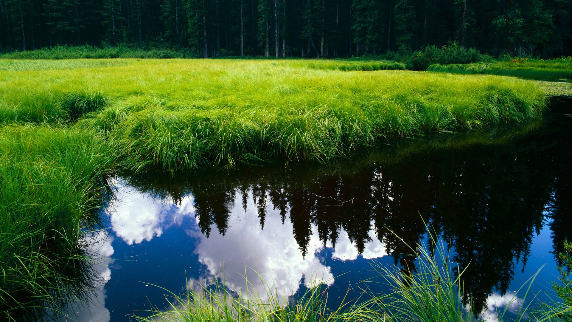 中国足球运动员伤病预防技术,足球运动员损伤