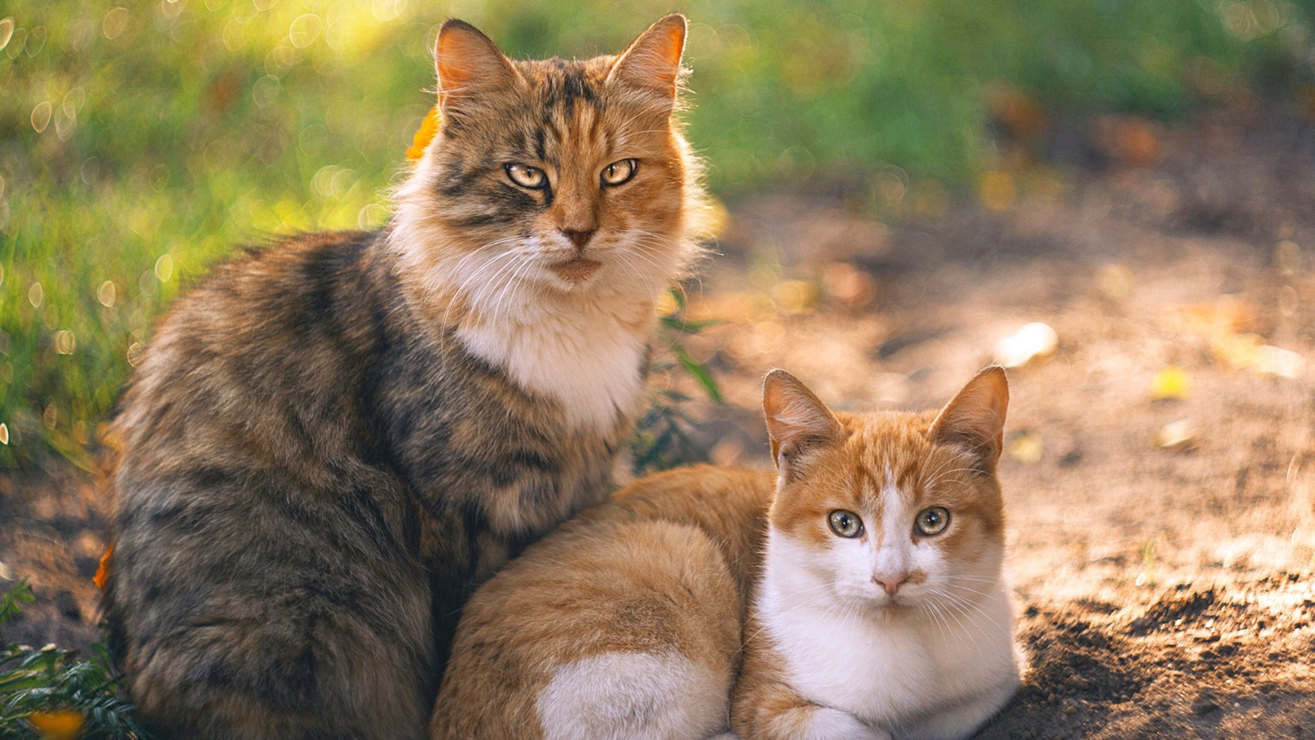 开云体育在线-关键女王王思雨：机会来了，就要拿下！，王思雨最新消息